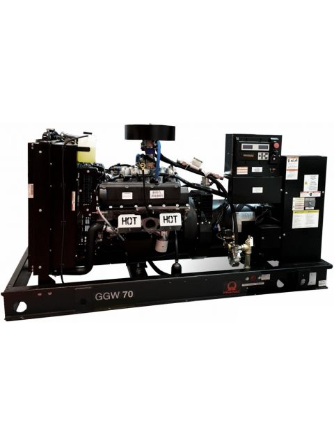 Газовый генератор Pramac GGW70G с АВР