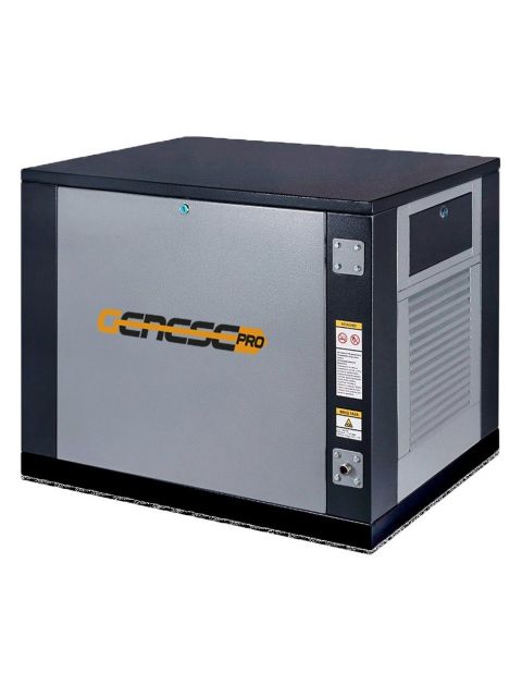 Газовый генератор Genese Pro 5000 Neva в кожухе